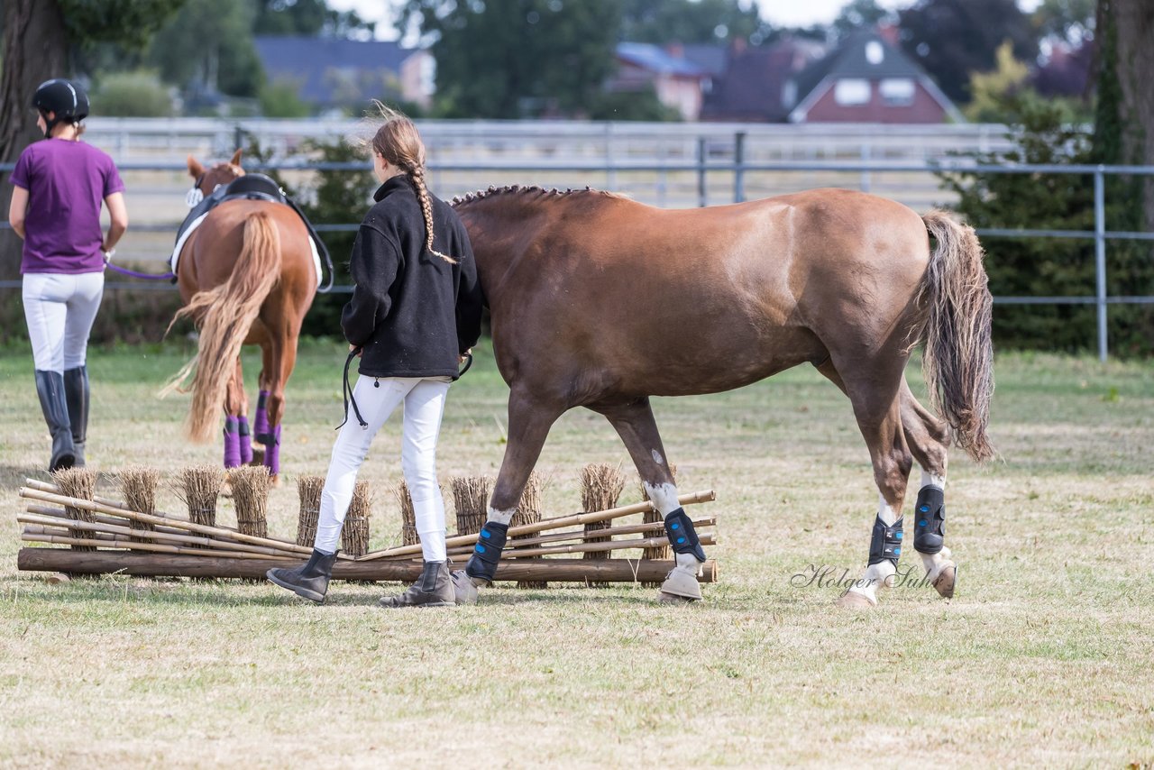 Bild 1 - Pony Akademie Turnier